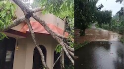 Kerala Monsoon Starts: സംസ്ഥാനത്ത് കാലവ‍ർഷം എത്തി, എട്ട് ദിവസം നേരത്തെ; ഇത്രയും നേരത്തെ കാലവർഷം എത്തുന്നത് 16 വർഷത്തിന് ശേഷം