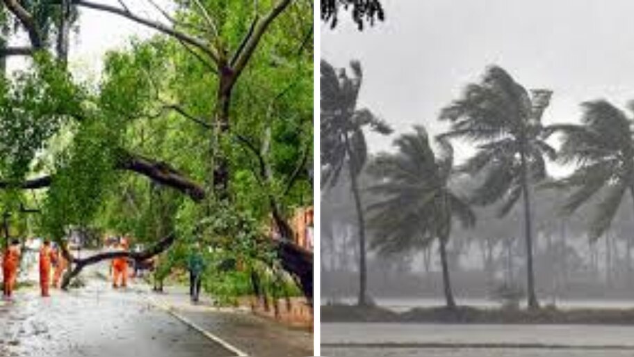 Kerala Weather Forecast: അതിതീവ്ര മഴയിൽ ദുരിതം: ശക്തമായ കാറ്റും, മലയിടിച്ചിൽ ഭീഷണിയും; റെഡ് അലർട്ട് തുടരും...