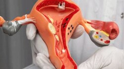 Unbelievable Facts about Uterus: ഗര്‍ഭപാത്രം ഒരു 'ചില്ലറ പാത്രം' അല്ല... ഈ കാര്യങ്ങള്‍ കേട്ടാല്‍ ആരും മൂക്കത്ത് വിരല്‍ വയ്ക്കും!