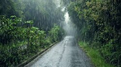 സംസ്ഥാനത്ത് മഴയുടെ തീവ്രത കുറഞ്ഞേക്കും; ഇന്ന് യെല്ലോ അലർട്ട്
