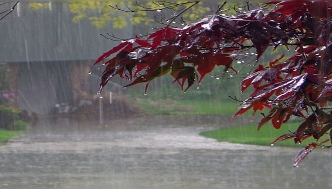 Kerala Weather Updates: സംസ്ഥാനത്ത് ഇന്ന് ഒറ്റപ്പെട്ടയിടങ്ങളിൽ ഇടി മിന്നലോട് കൂടിയ മഴ 