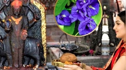ശനി ദേവന് പ്രിയപ്പെട്ട ഈ പുഷ്പം അ‍‍ർപ്പിക്കൂ! ഭാ​ഗ്യം സൂര്യനേപ്പോലെ പ്രകാശിക്കും