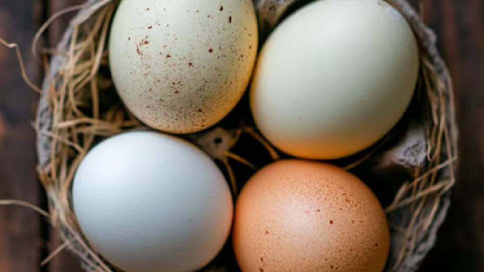 Don't eat these 7 food items after reheating