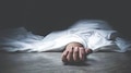 Snake Bite Death: പഴക്കുലയിൽ പതുങ്ങിയിരുന്ന പാമ്പിന്റെ കടിയേറ്റു; ചികിത്സയിലായിരുന്ന വ്യാപാരിക്ക് ദാരുണാന്ത്യം