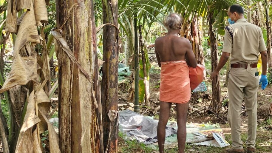 Dead Body Found: വാഴത്തോട്ടത്തിലെ ചതുപ്പിൽ പൂർണന​ഗ്നനായ പുരുഷന്റെ മൃതദേഹം; അന്വേഷണം