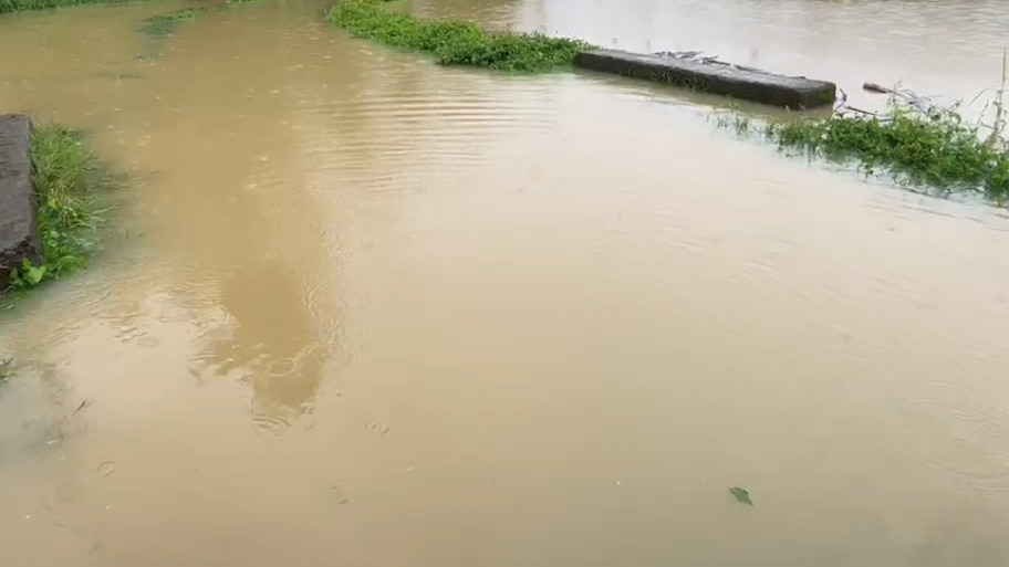 Heavy Rain In Kerala: സംസ്ഥാനത്ത് മഴ ശക്തം; അഞ്ച് ജില്ലകളിലെ വിദ്യാഭ്യാസ സ്ഥാപനങ്ങൾക്ക് നാളെ അവധി