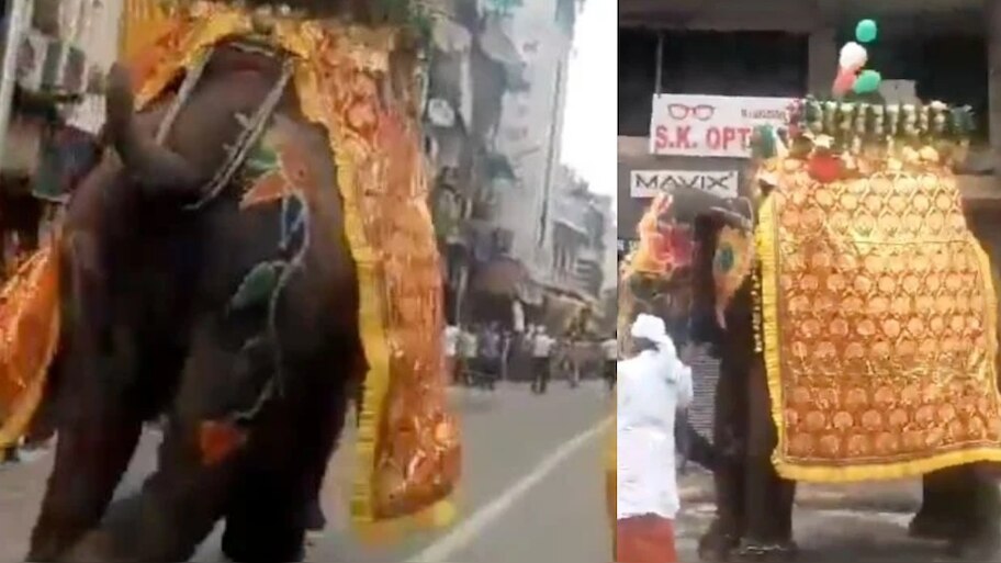 Puri Jagannath Rath Yatra 2025: പുരി ജ​ഗന്നാഥ രഥയാത്രയ്ക്കിടെ ആന വിരണ്ടോടി- VIDEO