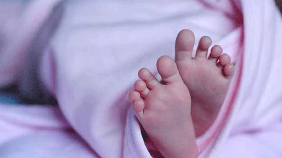 Infant Babies Killed By Parents: നവജാത ശിശുക്കളെ കൊന്ന് കുഴിച്ചുമൂടി; കർമ്മം ചെയ്യാൻ അസ്ഥി പെറുക്കി സൂക്ഷിച്ചു, സംഭവം തൃശൂർ പുതുക്കാട് Infant Babies Killed By Parents: നവജാത ശിശുക്കളെ കൊന്ന് കുഴിച്ചുമൂടി; കർമ്മം ചെയ്യാൻ അസ്ഥി പെറുക്കി സൂക്ഷിച്ചു, സംഭവം തൃശൂർ പുതുക്കാട്