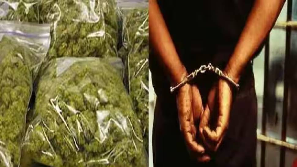 Cannabis Seized: കൊല്ലത്ത് കഞ്ചാവുമായി കോൺഗ്രസ് നേതാവ് പിടിയിൽ; പിടിച്ചെടുത്തത് ഒന്നര കിലോ കഞ്ചാവ് Cannabis Seized: കൊല്ലത്ത് കഞ്ചാവുമായി കോൺഗ്രസ് നേതാവ് പിടിയിൽ; പിടിച്ചെടുത്തത് ഒന്നര കിലോ കഞ്ചാവ്