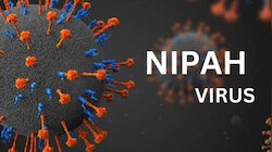 Nipah Virus Kerala: കേരളത്തിൽ വീണ്ടും നിപ; പാലക്കാട് സ്വദേശിനിക്ക് രോ​ഗം സ്ഥിരീകരിച്ചു, ഫലം പോസിറ്റീവ്