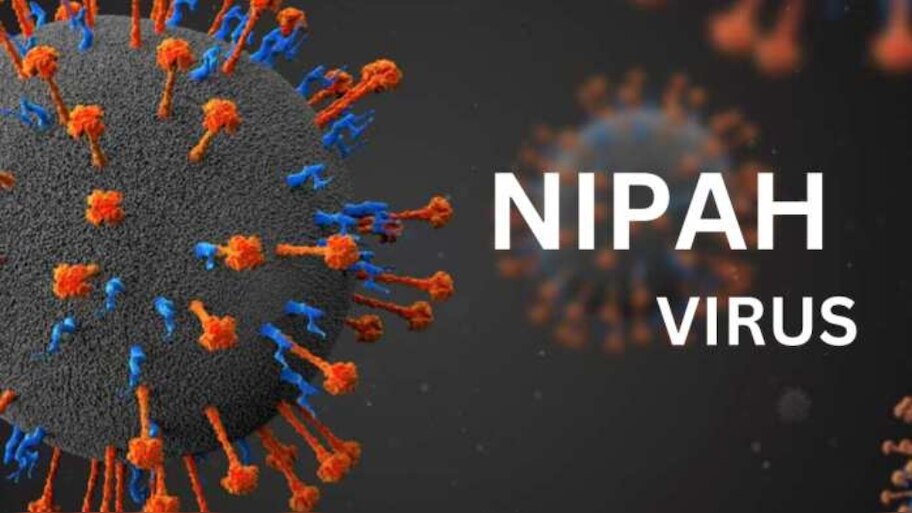 Nipah Virus Kerala: കേരളത്തിൽ വീണ്ടും നിപ; പാലക്കാട് സ്വദേശിനിക്ക് രോ​ഗം സ്ഥിരീകരിച്ചു, ഫലം പോസിറ്റീവ്