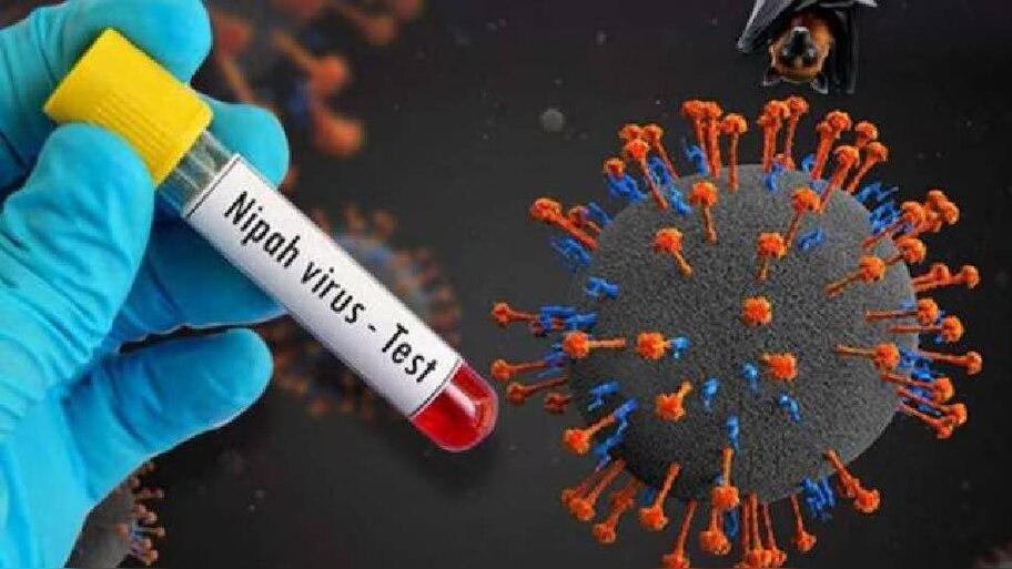 Nipah Death: സംസ്ഥാനത്ത് വീണ്ടും നിപ മരണം; മരിച്ച മലപ്പുറം സ്വദേശിയായ 18കാരിക്ക് നിപ സ്ഥിരീകരിച്ചു