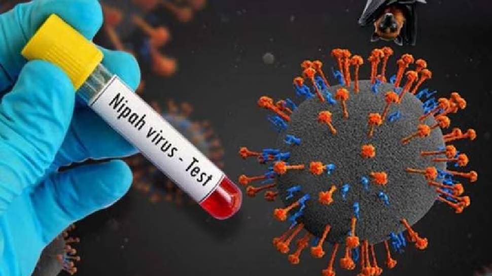 Nipah Death: സംസ്ഥാനത്ത് വീണ്ടും നിപ മരണം; മരിച്ച മലപ്പുറം സ്വദേശിയായ 18കാരിക്ക് നിപ സ്ഥിരീകരിച്ചു Nipah Death: സംസ്ഥാനത്ത് വീണ്ടും നിപ മരണം; മരിച്ച മലപ്പുറം സ്വദേശിയായ 18കാരിക്ക് നിപ സ്ഥിരീകരിച്ചു