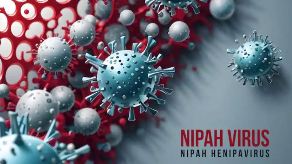 Nipah Virus In Kerala: നിപ സാഹചര്യം വിലയിരുത്താന് കേന്ദ്ര സംഘം കേരളത്തിലേക്ക് Nipah Virus In Kerala: നിപ സാഹചര്യം വിലയിരുത്താന് കേന്ദ്ര സംഘം കേരളത്തിലേക്ക്
