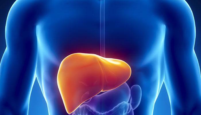 Fatty Liver Symptoms: രാത്രിയിലെ ഈ ലക്ഷണങ്ങൾ അവഗണിക്കരുത്... ഫാറ്റി ലിവർ ആവാമിത്... Fatty Liver Symptoms: രാത്രിയിലെ ഈ ലക്ഷണങ്ങൾ അവഗണിക്കരുത്... ഫാറ്റി ലിവർ ആവാമിത്...