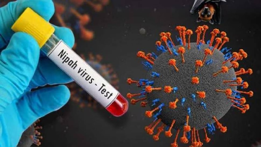 Nipah Death: കേരളത്തിൽ വീണ്ടും നിപ്പ മരണം? ആറ് ജില്ലകളിൽ ജാഗ്രത