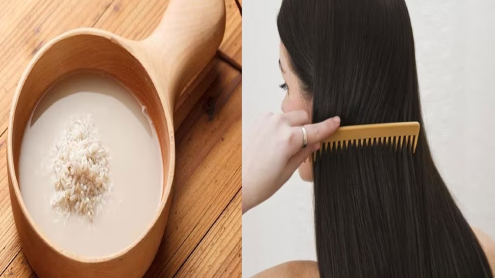 Hair Care Tips: ആഴ്ചയിൽ ഒരിക്കൽ ഉപയോഗിച്ച് നോക്കൂ; മുടിയുടെ ആരോഗ്യം സംരക്ഷിക്കാൻ വേറൊന്നും ഇനി വേണ്ട..! Hair Care Tips: ആഴ്ചയിൽ ഒരിക്കൽ ഉപയോഗിച്ച് നോക്കൂ; മുടിയുടെ ആരോഗ്യം സംരക്ഷിക്കാൻ വേറൊന്നും ഇനി വേണ്ട..!