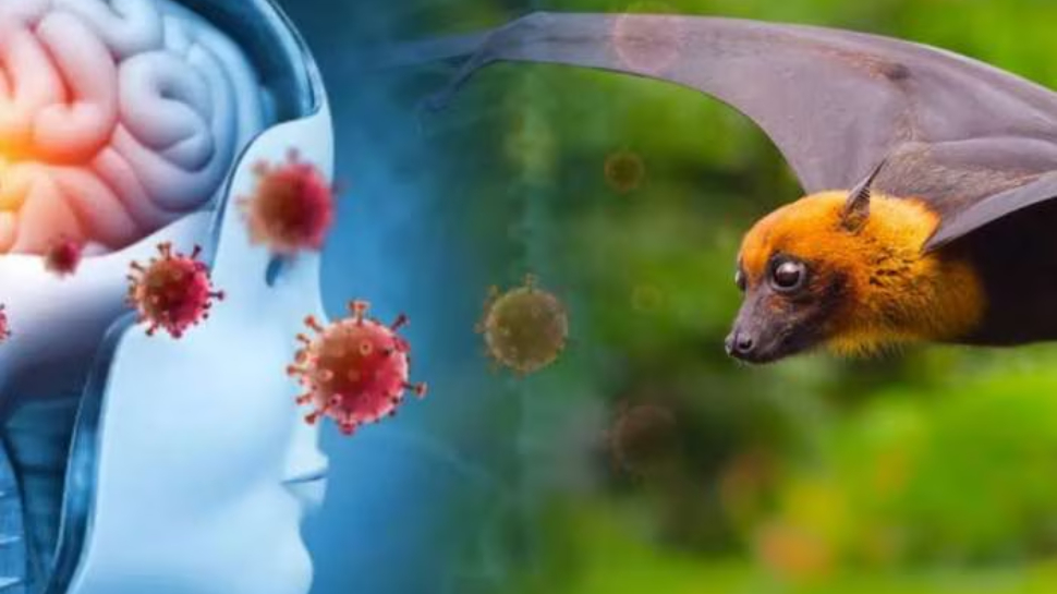 Nipah Contact List: നിപ സമ്പര്ക്കപ്പട്ടികയില് സംസ്ഥാനത്ത് ആകെ 675 പേര്; 178 പേര് പാലക്കാട് Nipah Contact List: നിപ സമ്പര്ക്കപ്പട്ടികയില് സംസ്ഥാനത്ത് ആകെ 675 പേര്; 178 പേര് പാലക്കാട്