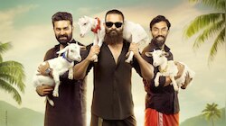 Aadu 3 Update: മൂന്നാം അങ്കത്തിന് ഒരുങ്ങി പാപ്പനും പിള്ളേരും; ഒരൊന്നൊന്നര വരവായിരിക്കും ഇനി, 'ആട് 3' ഷൂട്ടിം​ഗ് തുടങ്ങി