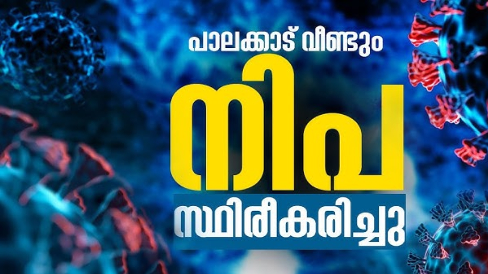 Nipah Cases Kerala: നിപ സ്ഥിരീകരിച്ച വ്യക്തിയുടെ റൂട്ട് മാപ്പ് തയ്യാറാക്കി; സംസ്ഥാനത്ത് 723 പേര് സമ്പര്ക്കപ്പട്ടികയില് Nipah Cases Kerala: നിപ സ്ഥിരീകരിച്ച വ്യക്തിയുടെ റൂട്ട് മാപ്പ് തയ്യാറാക്കി; സംസ്ഥാനത്ത് 723 പേര് സമ്പര്ക്കപ്പട്ടികയില്