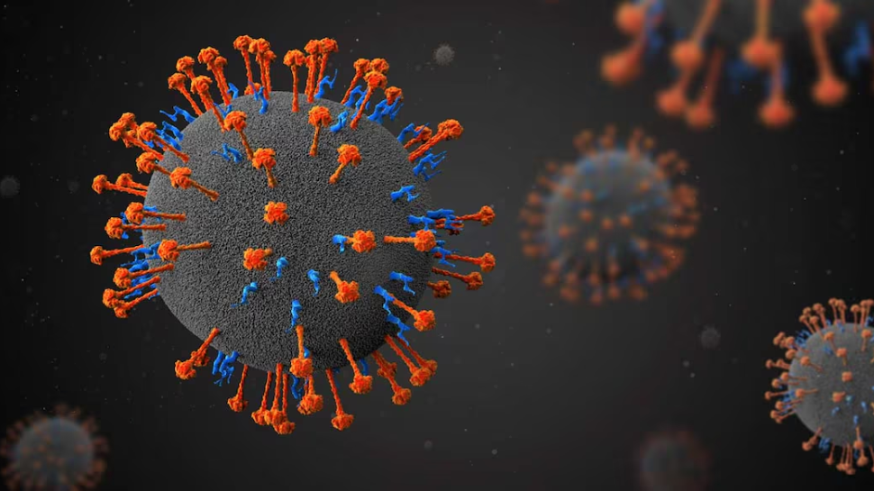 Nipah: നിപയെന്ന് സംശയം; 15കാരി ആശുപത്രിയിൽ, പരിശോധനാ ഫലം വന്ന ശേഷം തുടർനടപടികൾ Nipah: നിപയെന്ന് സംശയം; 15കാരി ആശുപത്രിയിൽ, പരിശോധനാ ഫലം വന്ന ശേഷം തുടർനടപടികൾ