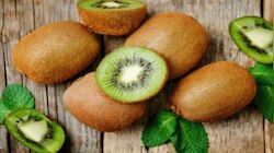 Kiwi Fruit Benefits: ദിവസവും കിവി കഴിക്കാമോ? എത്രെണ്ണം കഴിക്കാം? വിശദമായി അറിയാം...