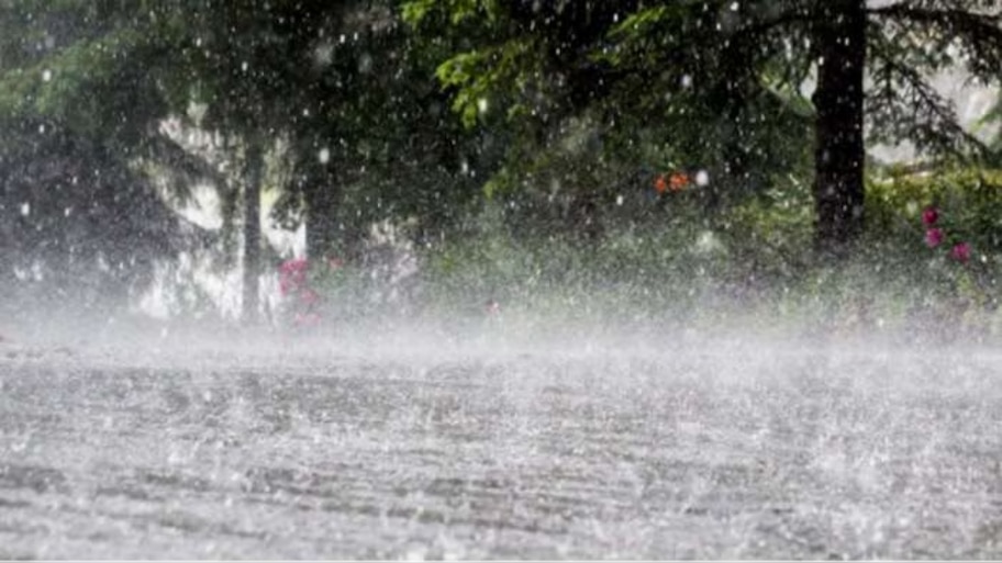 Rain Alert Kerala: 4 ജില്ലകളിൽ യെല്ലോ അലർട്ട്; നദികളിൽ ഇറങ്ങരുത്, തീരത്തുള്ളവർക്ക് ജാഗ്രതാ നിർദേശം