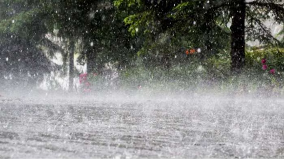 Rain Alert Kerala: 4 ജില്ലകളിൽ യെല്ലോ അലർട്ട്; നദികളിൽ ഇറങ്ങരുത്, തീരത്തുള്ളവർക്ക് ജാഗ്രതാ നിർദേശം Rain Alert Kerala: 4 ജില്ലകളിൽ യെല്ലോ അലർട്ട്; നദികളിൽ ഇറങ്ങരുത്, തീരത്തുള്ളവർക്ക് ജാഗ്രതാ നിർദേശം