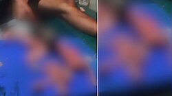 പൂച്ചയെ കൊന്ന് കഷ്ണങ്ങളാക്കി, യുവാവിനെതിരെ കേസെടുത്ത് പോലീസ്