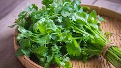 Coriander Benefits: ഹൃദയാരോ​ഗ്യം മുതൽ ദഹനം വരെ; മല്ലിയില വെറുതെയല്ല..! ​ഗുണങ്ങൾ‌ അനവധി
