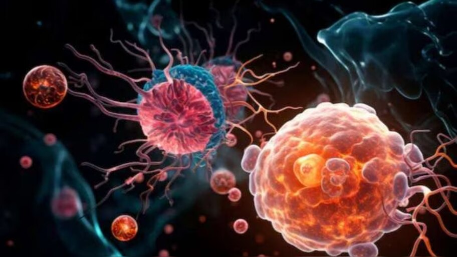 Amoebic Encephalitis: കോഴിക്കോട്ട് അമീബിക് മസ്തിഷ്‌കജ്വരം സ്ഥിരീകരിച്ചു; മൂന്ന് മാസം പ്രായമുള്ള കുഞ്ഞിനും യുവാവിനും രോഗം