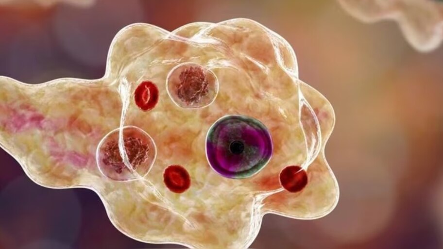 Amoebic Meningoencephalitis: സംസ്ഥാനത്ത് വീണ്ടും അമീബിക് മസ്തിഷ്കജ്വരം; രോ​ഗം സ്ഥിരീകരിച്ചത് മലപ്പുറത്തെ 11 വയസുകാരിക്ക്