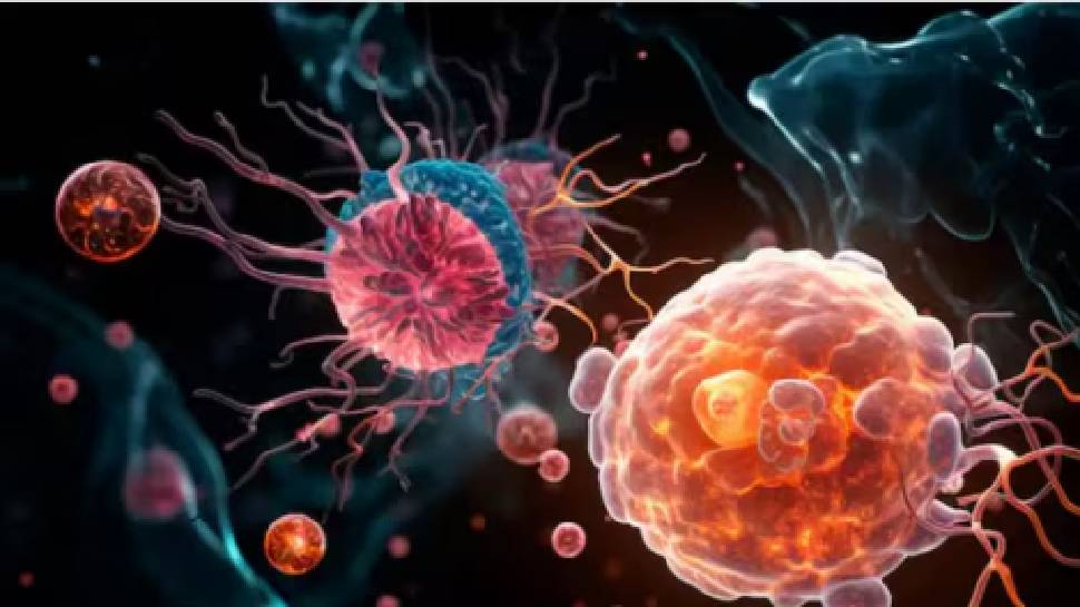 Amebic Meningoencephalitis: സംസ്ഥാനത്ത് വീണ്ടും അമീബിക് മസ്തിഷ്ക ജ്വരം; ചികിത്സയിലുള്ള 47കാരന് രോഗബാധ സ്ഥിരീകരിച്ചു Amebic Meningoencephalitis: സംസ്ഥാനത്ത് വീണ്ടും അമീബിക് മസ്തിഷ്ക ജ്വരം; ചികിത്സയിലുള്ള 47കാരന് രോഗബാധ സ്ഥിരീകരിച്ചു