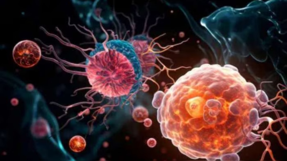 Amoebic Encephalitis: ഒരാൾക്കുകൂടി അമീബിക് മസ്തിഷ്ക ജ്വരം; സംസ്ഥാനത്ത് ആകെ രോ​ഗികളുടെ എണ്ണം 7 ആയി