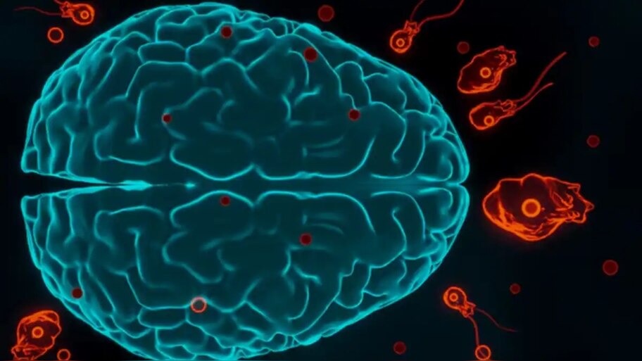 Amoebic Meningitis: വീണ്ടും അമീബിക് മസ്തിഷ്‌കജ്വരം; മൂന്ന് ജില്ലകളില്‍ നിന്ന് എട്ടുപേർ ചികിത്സയിൽ