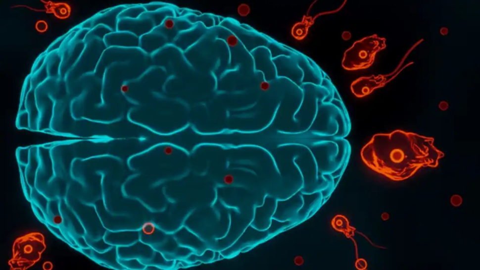 Amoebic Meningitis: വീണ്ടും അമീബിക് മസ്തിഷ്കജ്വരം; മൂന്ന് ജില്ലകളില് നിന്ന് എട്ടുപേർ ചികിത്സയിൽ Amoebic Meningitis: വീണ്ടും അമീബിക് മസ്തിഷ്കജ്വരം; മൂന്ന് ജില്ലകളില് നിന്ന് എട്ടുപേർ ചികിത്സയിൽ