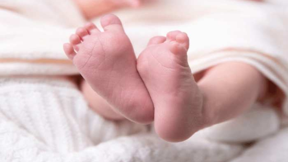 Newborn Death: മാലിന്യക്കൂമ്പാരത്തിൽ നവജാത ശിശുവിന്റെ മൃതദേഹം; സംഭവം പെരുമ്പാവൂരിൽ, കൊൽക്കത്ത സ്വദേശികളുടെ കുഞ്ഞെന്ന് സംശയം Newborn Death: മാലിന്യക്കൂമ്പാരത്തിൽ നവജാത ശിശുവിന്റെ മൃതദേഹം; സംഭവം പെരുമ്പാവൂരിൽ, കൊൽക്കത്ത സ്വദേശികളുടെ കുഞ്ഞെന്ന് സംശയം