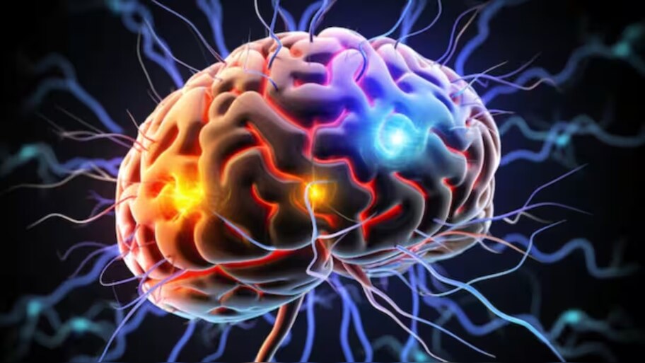 Amoebic Meningoencephalitis: സംസ്ഥാനത്ത് ഒരാൾക്ക് കൂടി അമീബിക് മസ്തിഷ്ക ജ്വരം സ്ഥിരീകരിച്ചു; രോ​ഗം സ്ഥിരീകരിച്ചത് കോഴിക്കോട് സ്വദേശിനിക്ക്