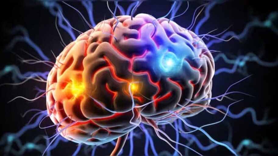 Amoebic Meningoencephalitis: അമീബിക് മസ്തിഷ്‌ക ജ്വരം; സംസ്ഥാനത്ത് രണ്ടു മരണം