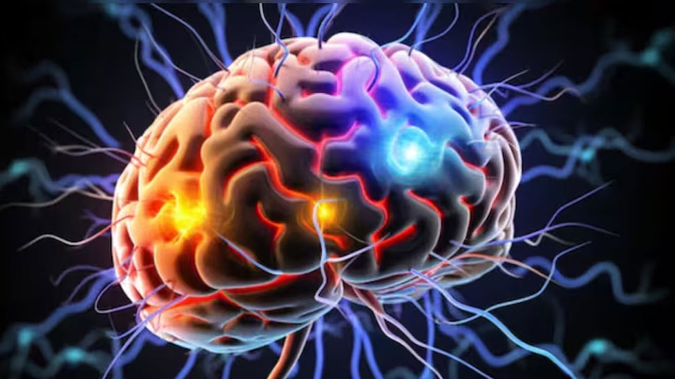 Amoebic Meningoencephalitis: അമീബിക് മസ്തിഷ്ക ജ്വരം; സംസ്ഥാനത്ത് രണ്ടു മരണം Amoebic Meningoencephalitis: അമീബിക് മസ്തിഷ്ക ജ്വരം; സംസ്ഥാനത്ത് രണ്ടു മരണം