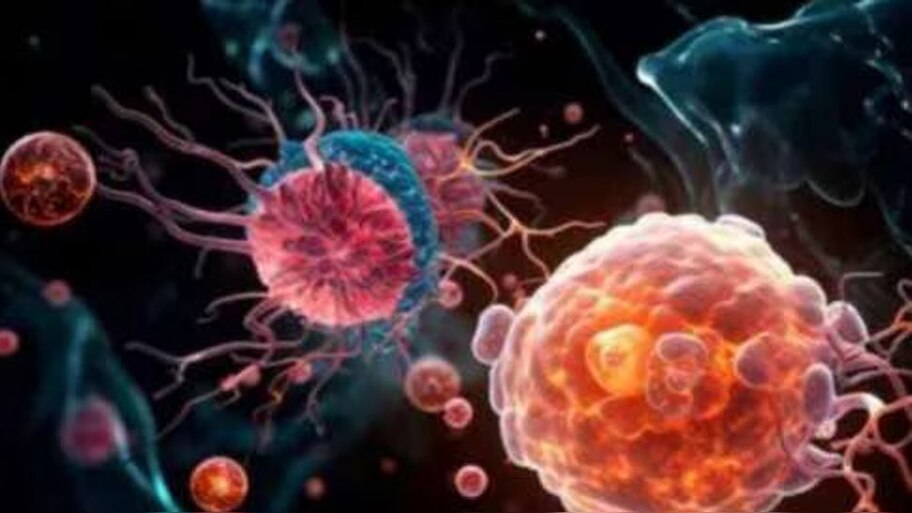 Amoebic Meningoencephalitis: അമീബിക് മസ്തിഷ്ക ജ്വരം; രണ്ടുപേരുടെ ആരോഗ്യനില അതീവ ഗുരുതരം