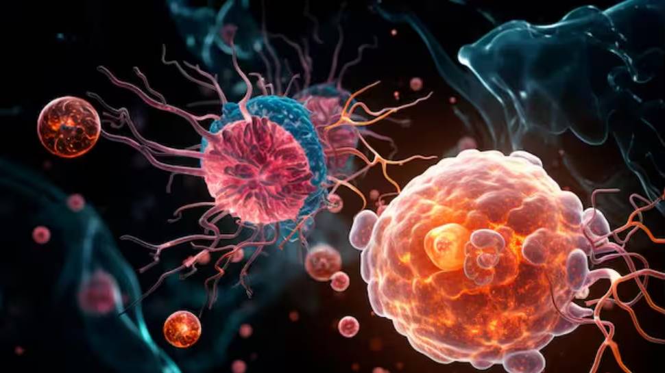 Amoebic Meningoencephalitis: വീണ്ടും അമീബിക്ക് മസ്തിഷ്ക ജ്വരം; പത്ത് വയസുകാരിക്ക് രോഗം സ്ഥിരീകരിച്ചു Amoebic Meningoencephalitis: വീണ്ടും അമീബിക്ക് മസ്തിഷ്ക ജ്വരം; പത്ത് വയസുകാരിക്ക് രോഗം സ്ഥിരീകരിച്ചു