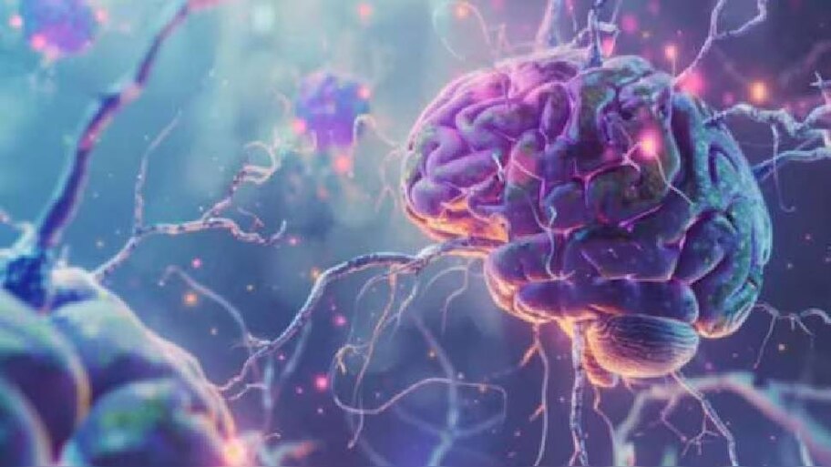 Amoebic Meningoencephalitis: അമീബിക് മസ്തിഷ്ക ജ്വരം; സംസ്ഥാനത്ത് വീണ്ടും ഒരു മരണം