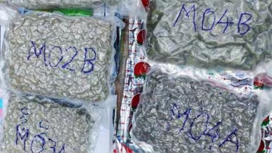 Marijuana Seized: തിരുവനന്തപുരം വിമാനത്താവളത്തിൽ ഹൈബ്രിഡ് കഞ്ചാവ് പിടികൂടി; 3.63 കോടിയുടെ കഞ്ചാവുമായി പിടികൂടിയത് കർണാടക സ്വദേശിയെ