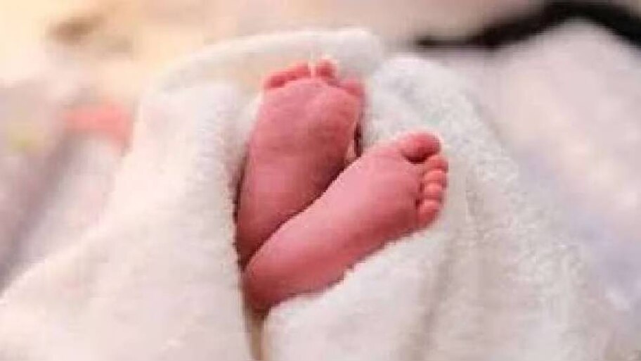 New Born found abandoned: 'വായിൽ കല്ല് തിരുകി, പശ വച്ച് ചുണ്ടുകൾ ഒട്ടിച്ചു'; 19 ദിവസം പ്രായമുള്ള കുഞ്ഞിനെ കാട്ടിൽ ഉപേക്ഷിക്കപ്പെട്ട നിലയിൽ കണ്ടെത്തി