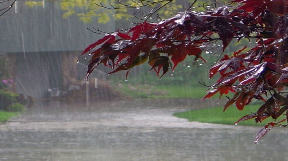 Kerala Weather Updates: സംസ്ഥാനത്ത് മഴഭീതി ഒഴിഞ്ഞു; ചിലയിടങ്ങളിൽ ഇടിമിന്നലോട് കൂടിയ മഴയ്ക്ക് സാധ്യത Kerala Weather Updates: സംസ്ഥാനത്ത് മഴഭീതി ഒഴിഞ്ഞു; ചിലയിടങ്ങളിൽ ഇടിമിന്നലോട് കൂടിയ മഴയ്ക്ക് സാധ്യത
