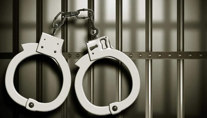 Cannabis Seized: വീട്ടുവളപ്പിൽ കഞ്ചാവ് കൃഷി; 62 കാരനെതിരെ കേസെടുത്ത് എക്സൈസ്