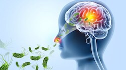 Amoebic Encephalitis: സംസ്ഥാനത്ത് രണ്ട് കുട്ടികൾക്ക് കൂടി അമീബിക് മസ്തിഷ്ക ജ്വരം; ആരോഗ്യനില തൃപ്തികരം