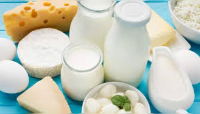 Dairy Products: പാലുൽപ്പന്നങ്ങൾ അധികമായി ഉപയോ​ഗിക്കാറുണ്ടോ? എങ്കിൽ ഈ രോ​ഗാവസ്ഥയെ കരുതിയിരിക്കാം