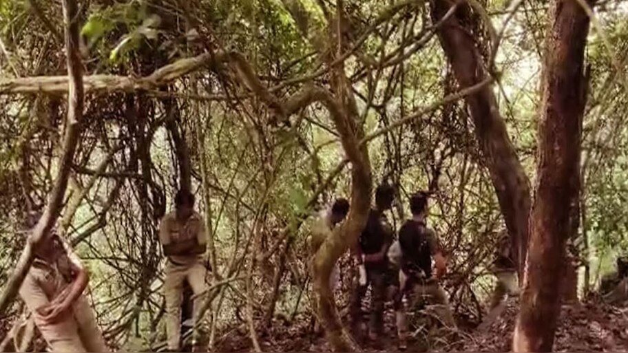 Palakkad News: അട്ടപ്പാടിയിൽ ഉൾവനത്തിൽ കുഴിച്ചിട്ട നിലയിൽ ആദിവാസി സ്ത്രീയുടെ മൃതദേഹം